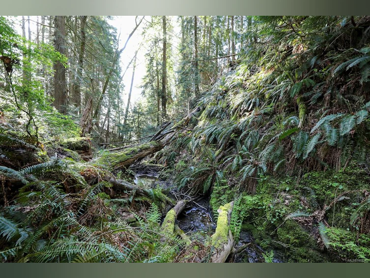 2399 Garry Oak Drive, Nanoose, BC, V9P 9G1 - 57