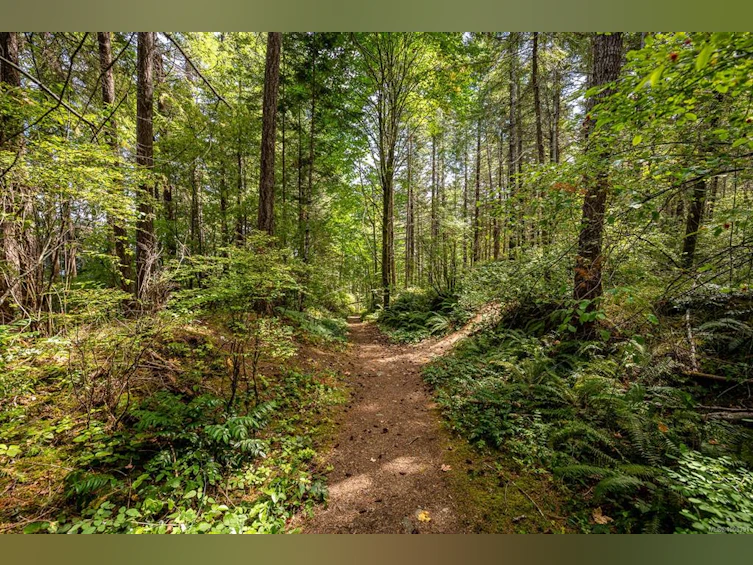 LT 15 Serenity Drive, Courtenay, BC, V0R 2M0 - 13