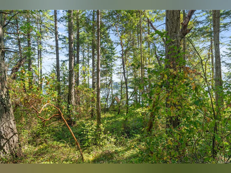Lt 34 Ruxton, Ruxton Island, BC, V0R 0X0 - 12