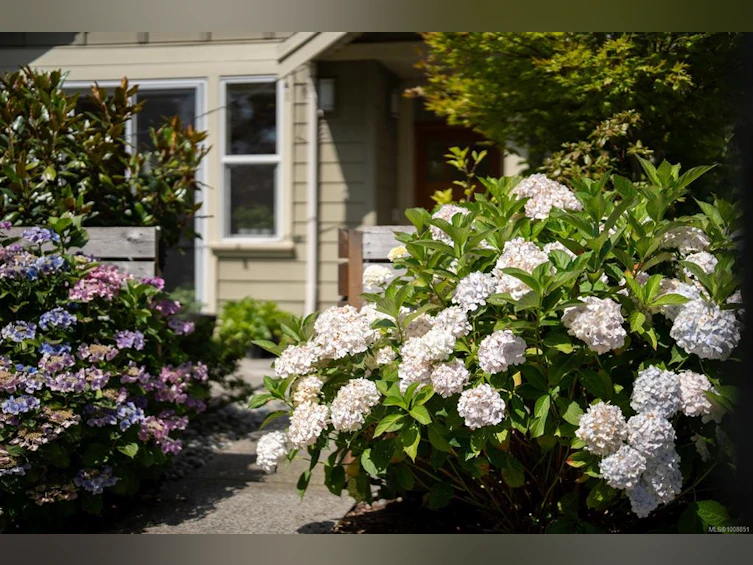 2346 Orchard Avenue, Sidney, BC, V8L 1T7 - 34