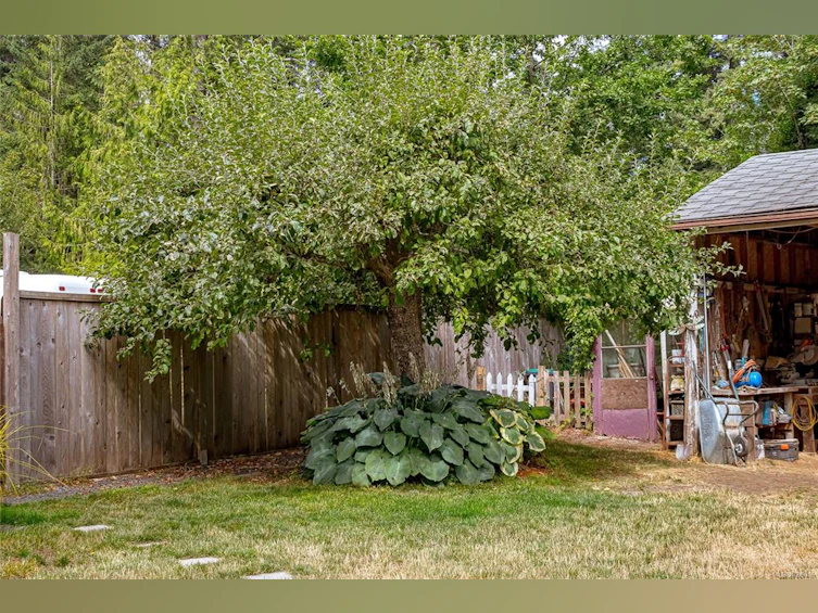 6368 W Island Highway, Qualicum Beach, BC, V9K 2E5 - 65