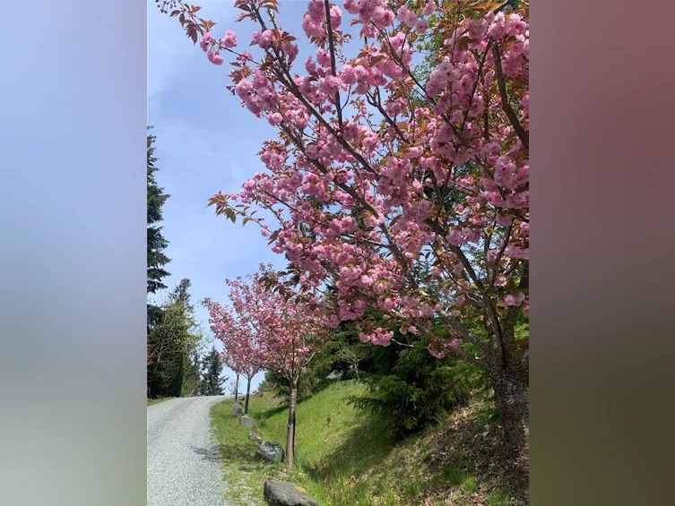 1591 Escarpment Way, Crofton, BC, V9L 5W7 - 10