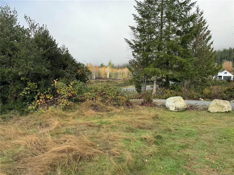 464 Mountain View Drive, Lake Cowichan, BC, V0R 2G1 - 16