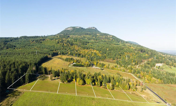 SL 4 Pinot Place