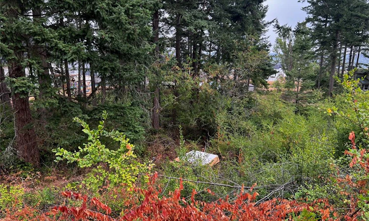Lot 27 Walter Road