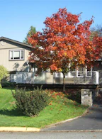533 Dogwood Drive