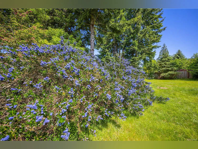 5510 Rutherford Road, Nanaimo, BC, V9T 5N4 - 34