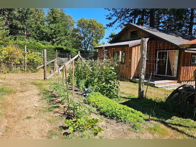 Lot 4 Maple Bay Road, Lasqueti Island, BC, V0R 2J0 - 15