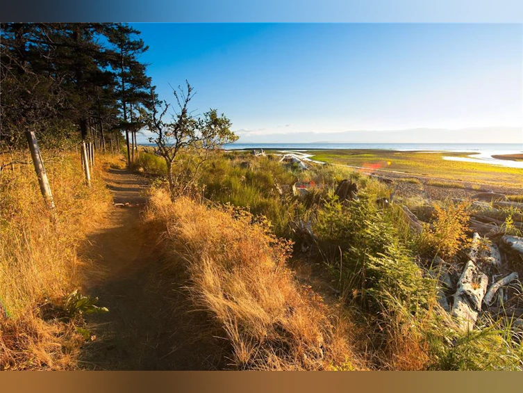 4692 Regent Road, Campbell River, BC, V9H 1E3 - 14