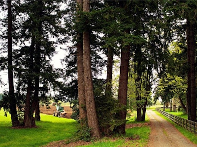 4692 Regent Road - 2