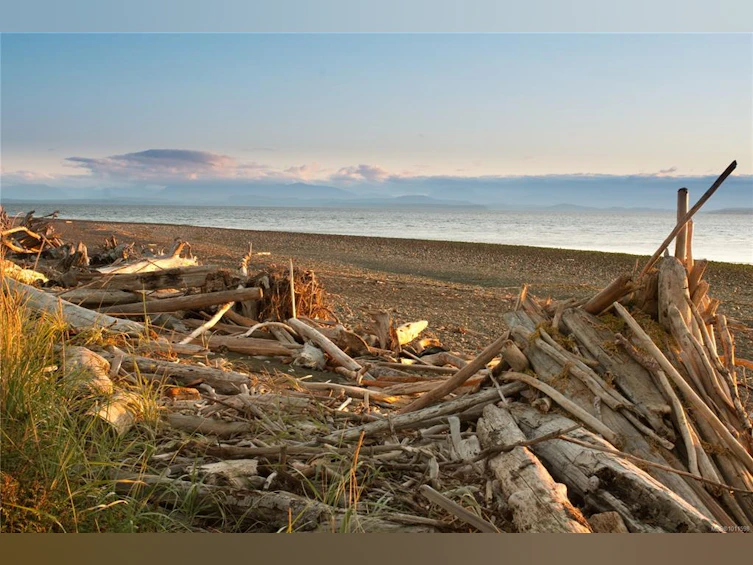 4692 Regent Road, Campbell River, BC, V9H 1E3 - 19