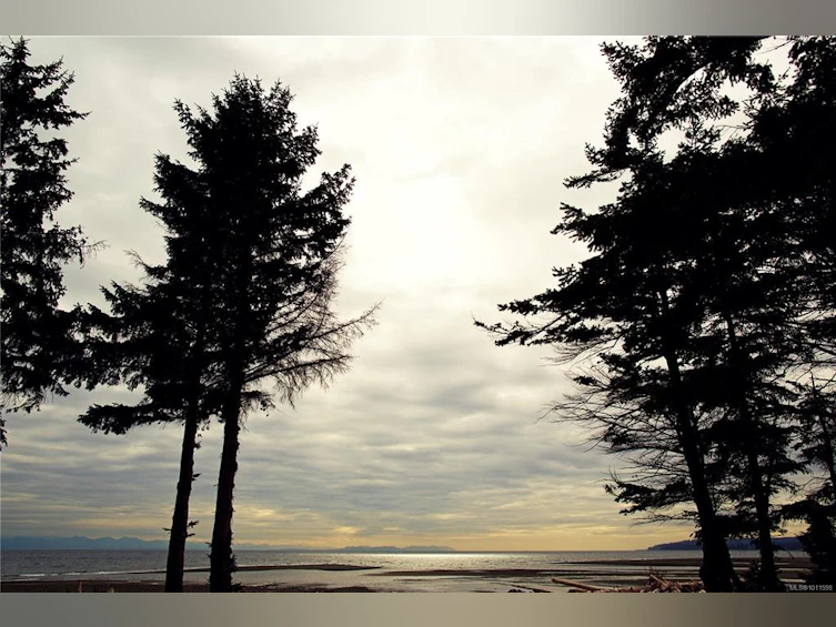 4692 Regent Road, Campbell River, BC, V9H 1E3 - 13