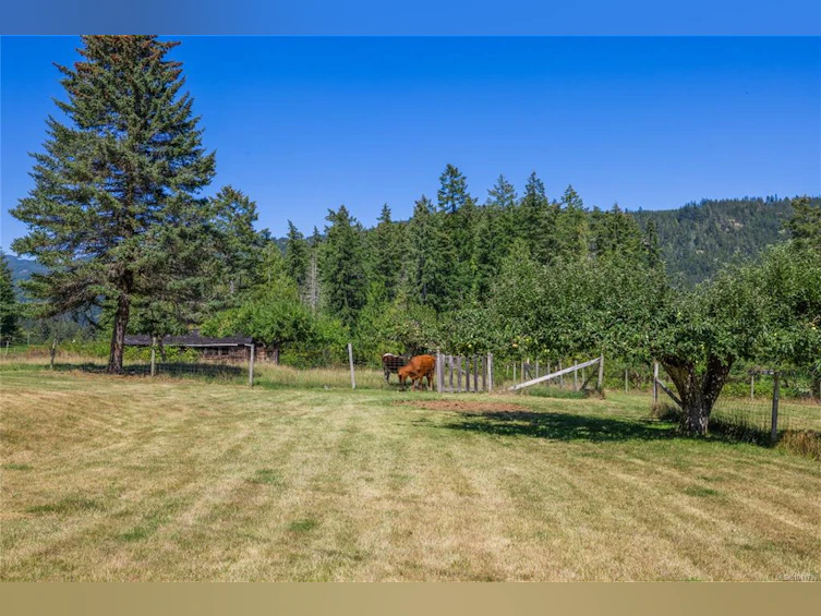 3463 Milligan Road, Port Alberni, BC, V9Y 8T2 - 23