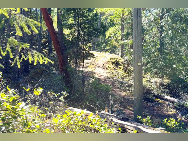 1799 Tiber Bay Road, Cortes Island, BC, V0P 1K0 - 40