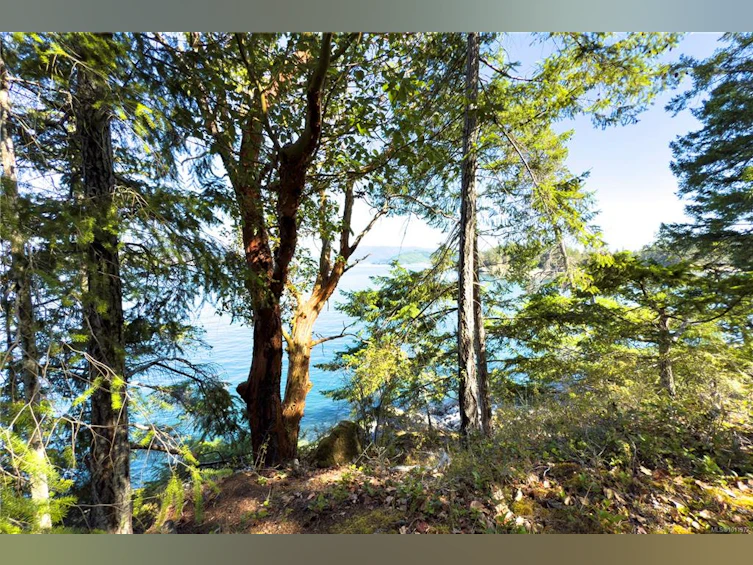 1799 Tiber Bay Road, Cortes Island, BC, V0P 1K0 - 36