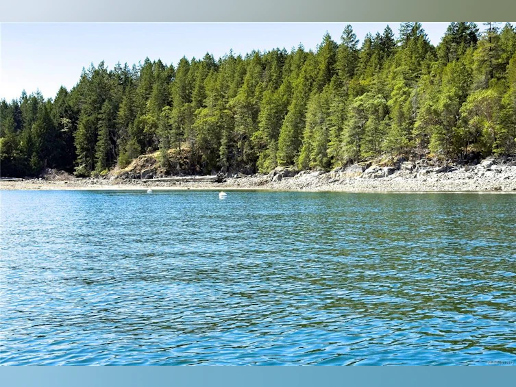 1799 Tiber Bay Road, Cortes Island, BC, V0P 1K0 - 24