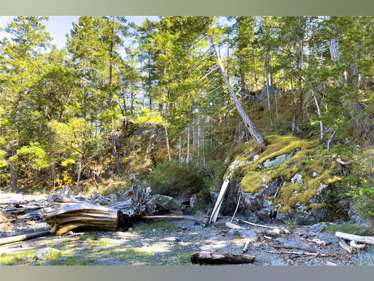 1799 Tiber Bay Road, Cortes Island, BC, V0P 1K0 - 57