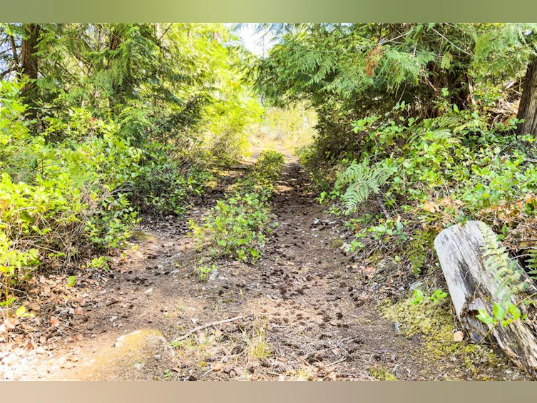 1799 Tiber Bay Road, Cortes Island, BC, V0P 1K0 - 26