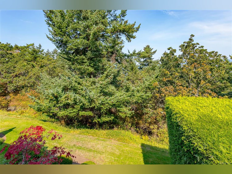 109-2829 Arbutus Road, Saanich, BC, V8N 5X5 - 39