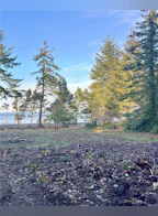 Lot 10 Berry Point Road