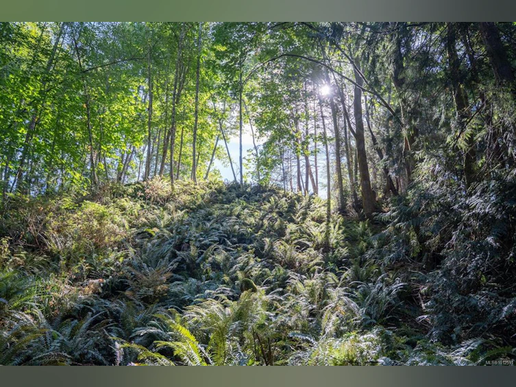 1195 Lee Road, French Creek, BC, V9P 2L2 - 82