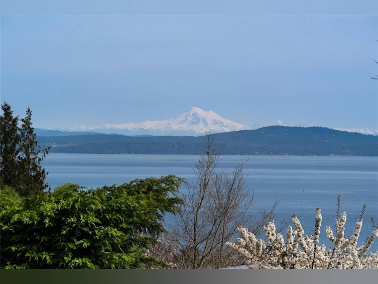805 Yole Place, Saanich, BC, V8Y 3B1 - 31