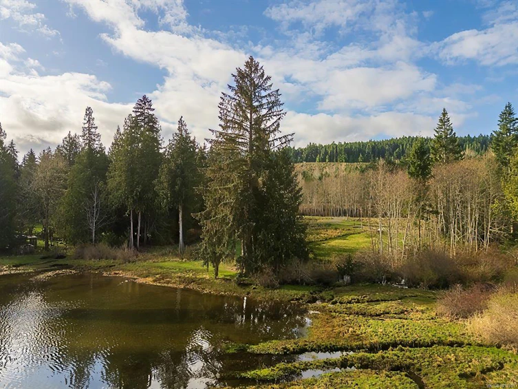 8460 Penny Lane, Fanny Bay, BC, V0R 1W0 - 20