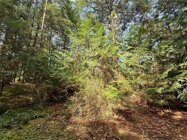 Lt 24 Carmen Crescent, Gabriola Island, BC, V0R 1X2 - 13