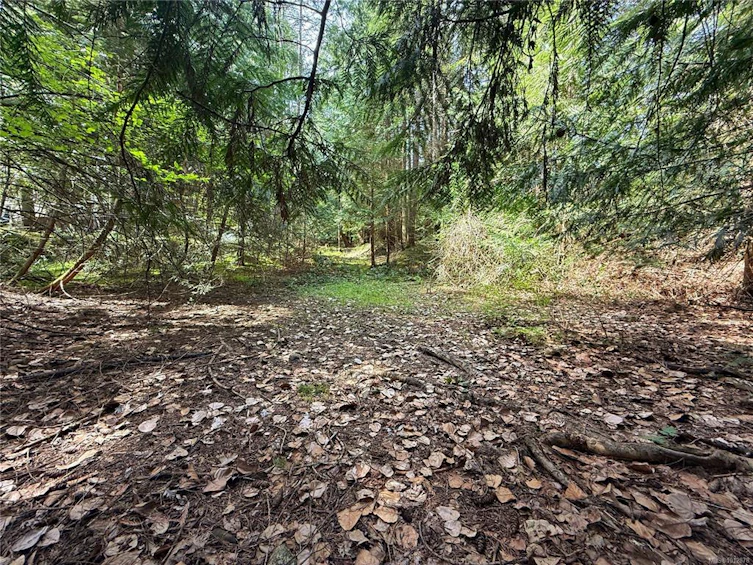 Lt 24 Carmen Crescent, Gabriola Island, BC, V0R 1X2 - 10