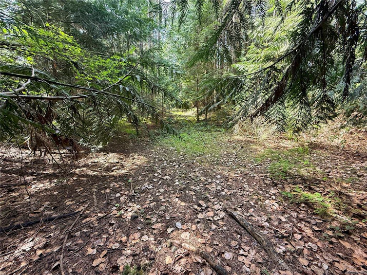 Lt 24 Carmen Crescent, Gabriola Island, BC, V0R 1X2 - 11