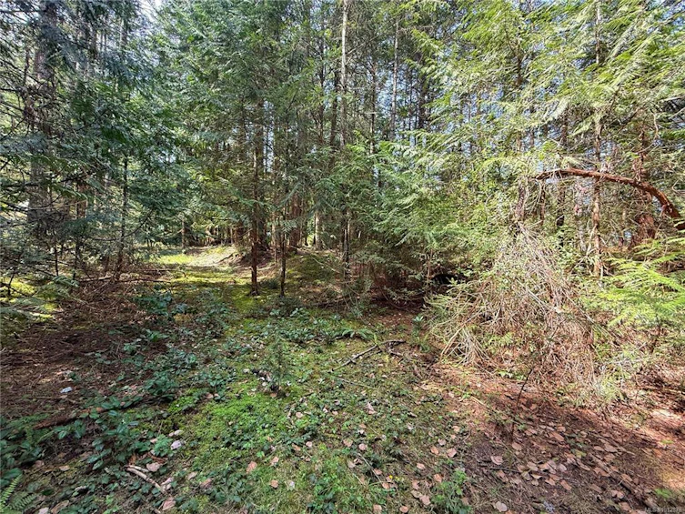 Lt 24 Carmen Crescent, Gabriola Island, BC, V0R 1X2 - 12