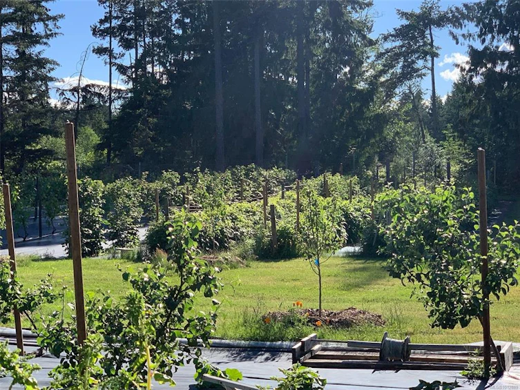 4800 W Island Highway, Qualicum Beach, BC, V9K 1Y9 - 48