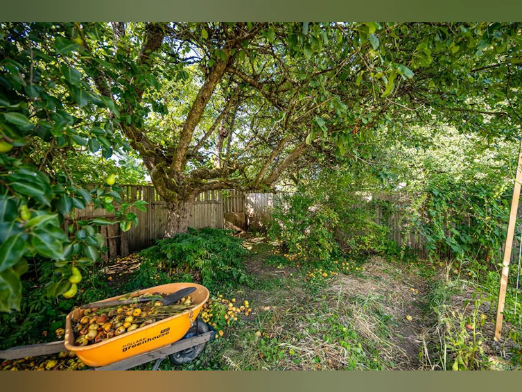 1261 14th Street, Courtenay, BC, V9N 1X1 - 52