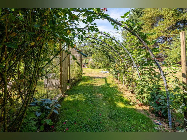 2983 Royston Road, Cumberland, BC, V0R 1S0 - 40