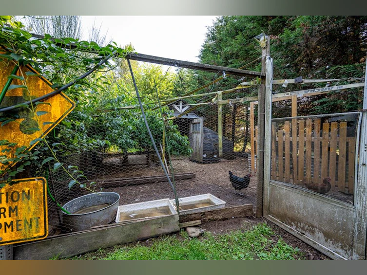 2983 Royston Road, Cumberland, BC, V0R 1S0 - 33