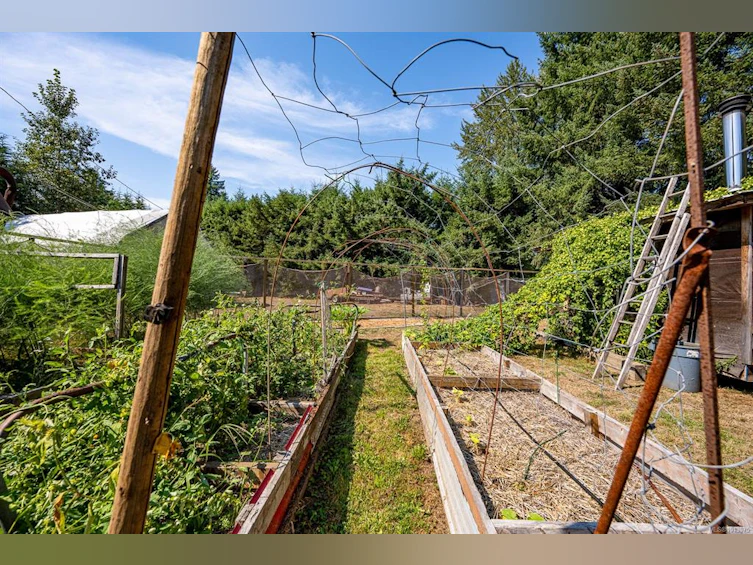 2983 Royston Road, Cumberland, BC, V0R 1S0 - 63