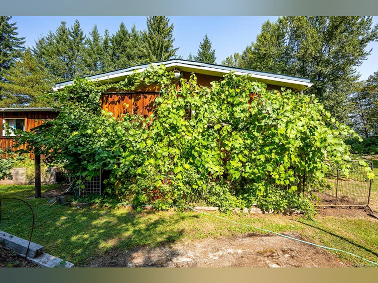 2983 Royston Road, Cumberland, BC, V0R 1S0 - 55