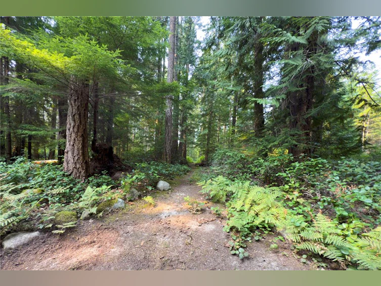 967 Siskin Lane, Cortes Island, BC, V0P 1K0 - 33