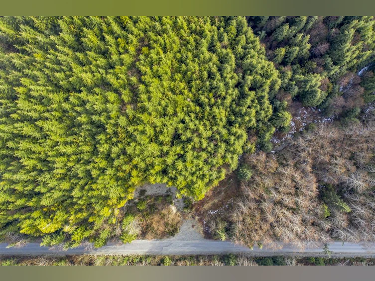 NE1/4SEC15 Gordon River Road, Sooke, BC, V0S 1K0 - 21
