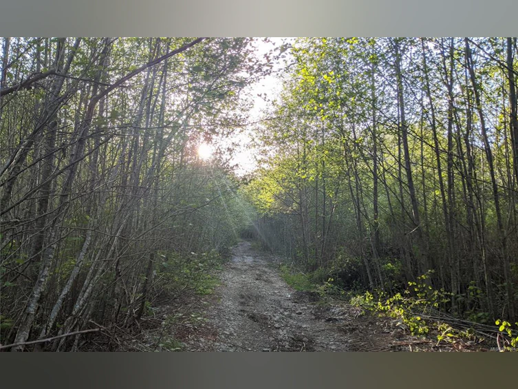 NE1/4SEC15 Gordon River Road, Sooke, BC, V0S 1K0 - 12