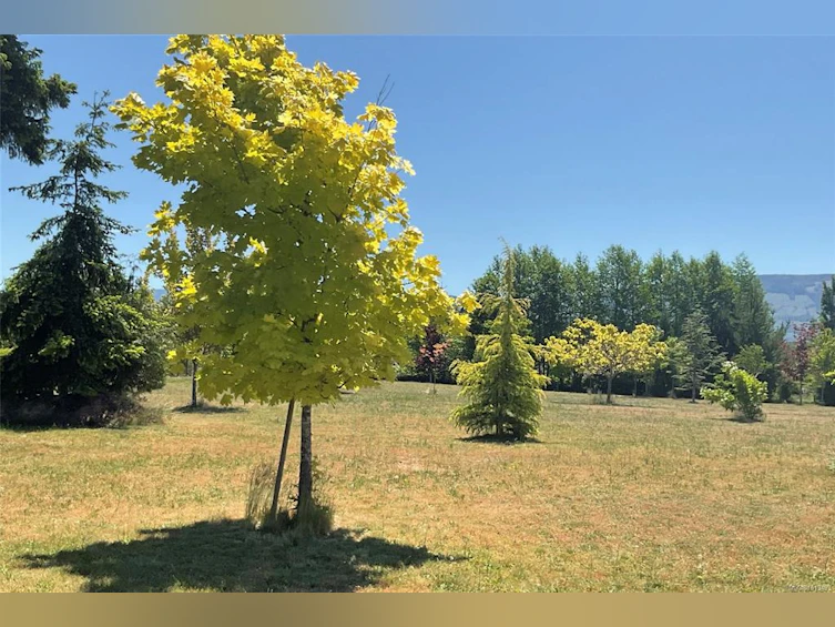 2050 Sun King Road, Coombs, BC, V0R 1M0 - 12