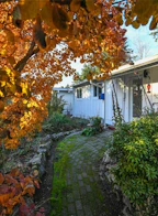 1728 Dogwood Avenue