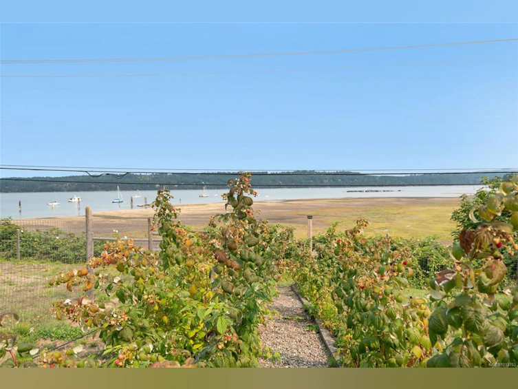 7442 Yake Road, Fanny Bay, BC, V0R 1W0 - 32