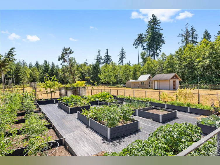 850 Burbank Road, Hilliers, BC, V9K 1Y5 - 8