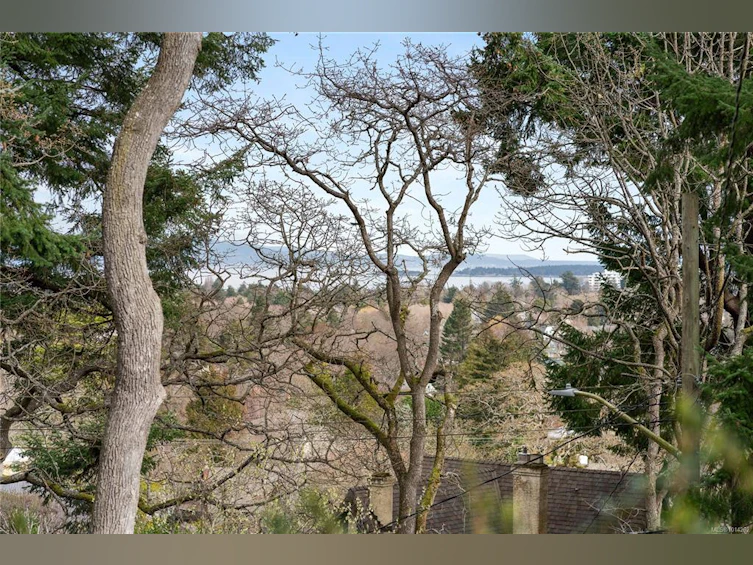 52 Sylvan Lane, Oak Bay, BC, V8S 2K8 - 7