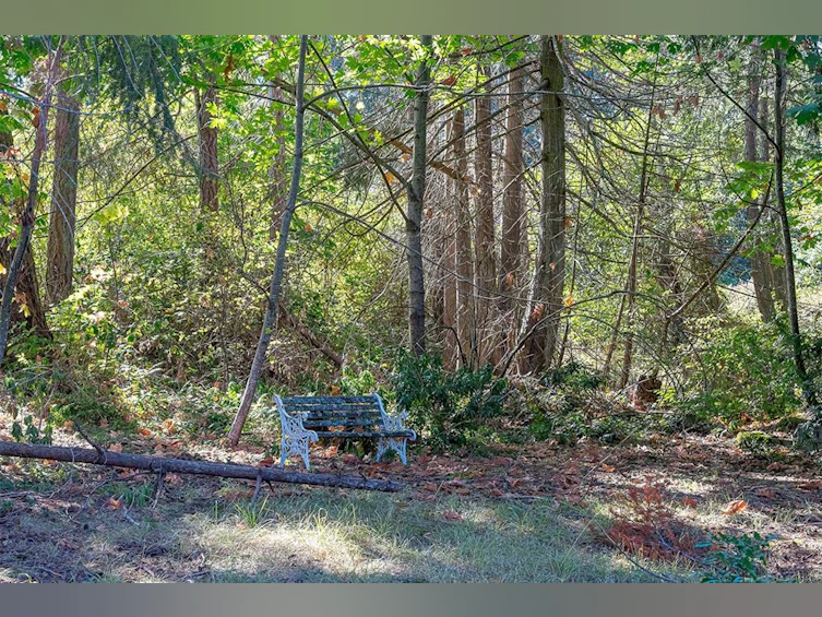 1048 Wood Duck Place, Qualicum Beach, BC, V9K 1E2 - 41