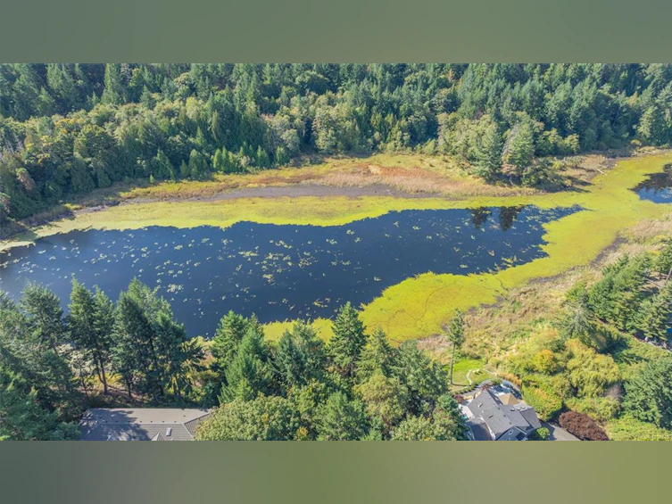 3380 Redden Road, Fairwinds, BC, V9P 9H4 - 58