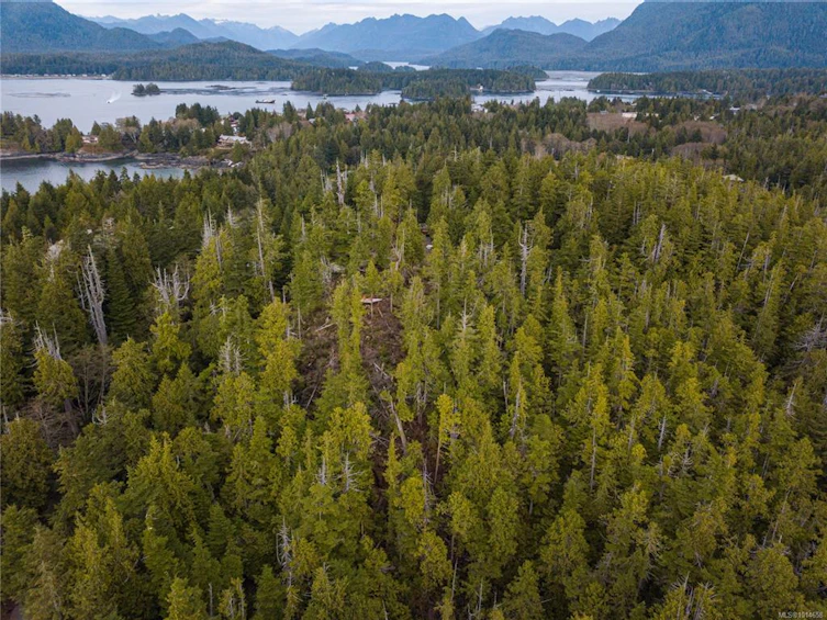 340 Tonquin Park Road, Tofino, BC, V0R 2Z0 - 10