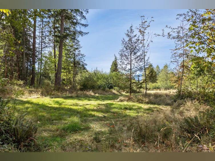 Lot B Cathy Crescent, Courtenay, BC, V9N 7G2 - 6