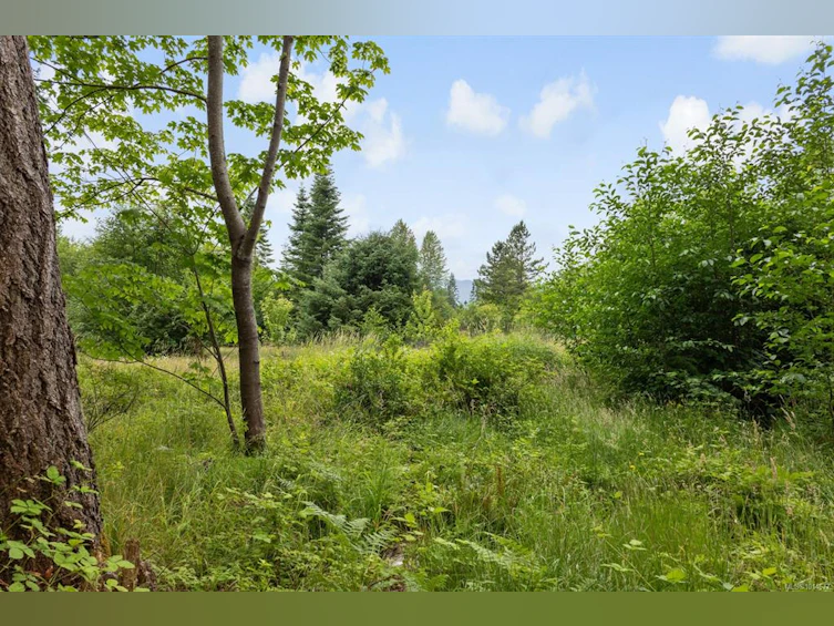 Lot B Cathy Crescent, Courtenay, BC, V9N 7G2 - 5